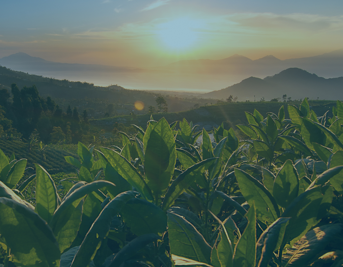 manifattura-mediterranea-immagine-3