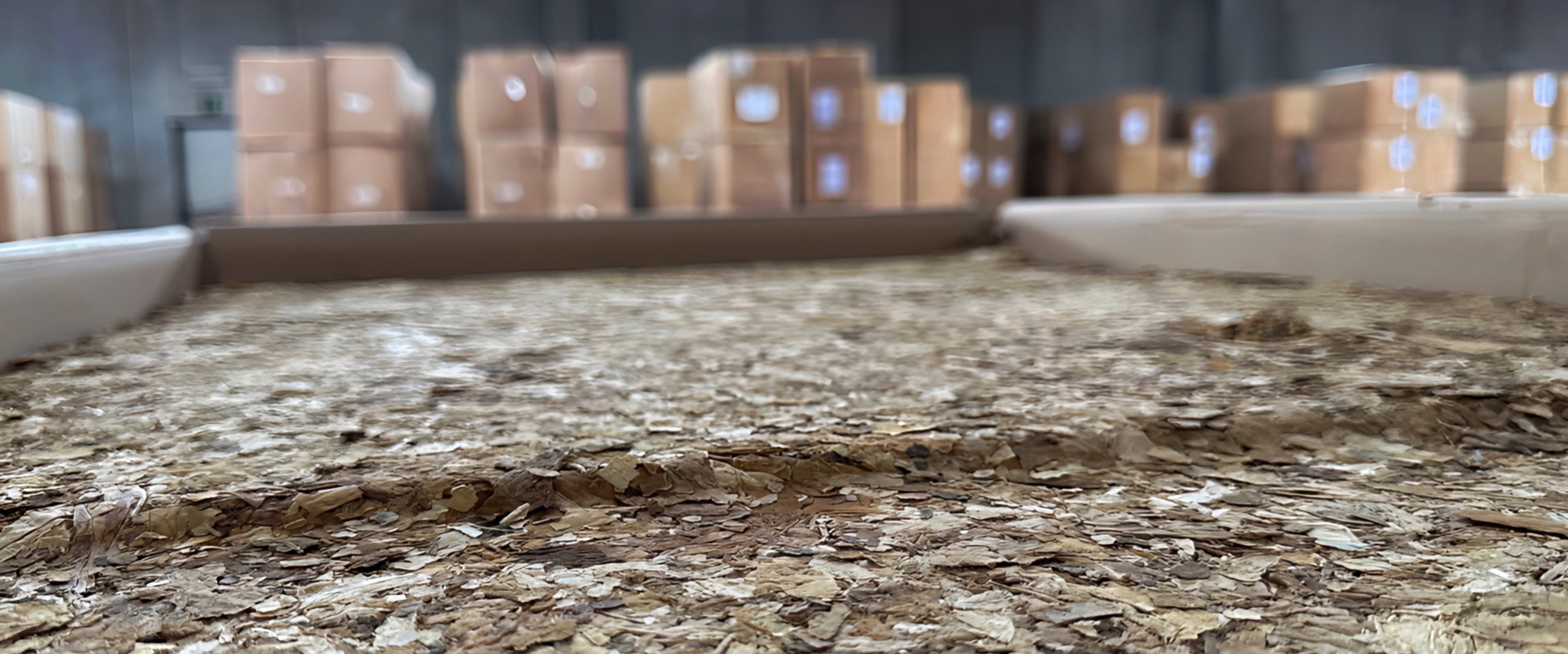 Manifattura Mediterranea: la lavorazione del tabacco Manifattura Mediterranea: la lavorazione del tabacco